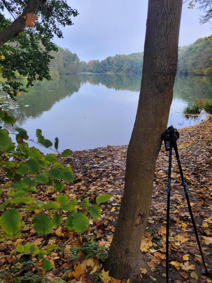 Lake Houselubniewice Domek Caloroczny Z Jacuzzi Blisko Jeziora Exterior foto